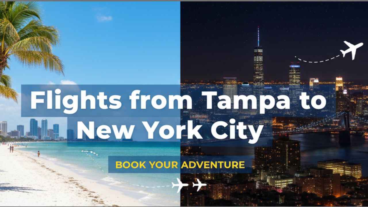 How to Find Affordable Tampa to New York Flight Tickets